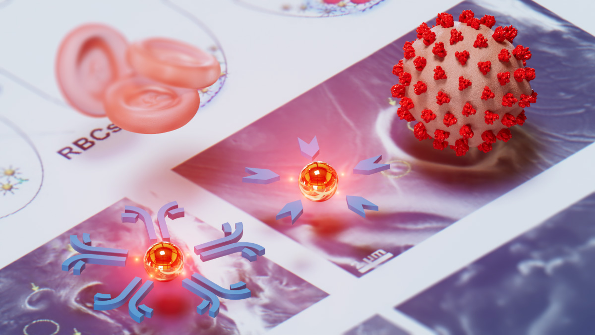 Researchers at ASU develop a breakthrough diagnostic tool that could transform how quickly and reliably we detect illnesses like COVID-19, Ebola, AIDS or Lyme disease. The test uses just a single drop of blood, costs a couple of dollars and delivers results in only 15 minutes.