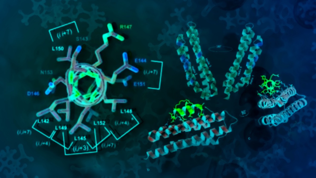 A breakthrough study co-led by ASU develops a new therapy that halts cancer by severing its ability to anchor and spread. In lab tests, this approach shrank tumors by 80% without harming healthy tissue — potentially offering a safer and more effective option for patients with difficult-to-treat tumors, reducing the risk of unintended toxicity.